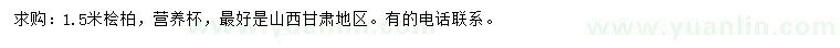 求購1.5米檜柏