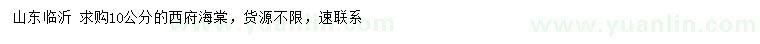 求購(gòu)10公分西府海棠