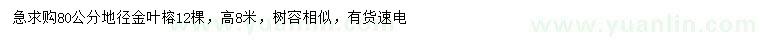 求購(gòu)地徑80公分金葉榕
