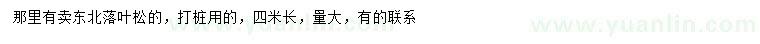 求購4米落葉松