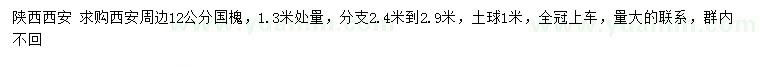 求購(gòu)1.3米處量12公分國(guó)槐