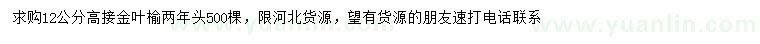 求購(gòu)12公分高接金葉榆