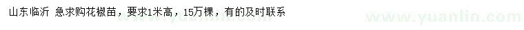 求購(gòu)高1米花椒苗