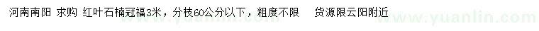 求購冠福3米紅葉石楠