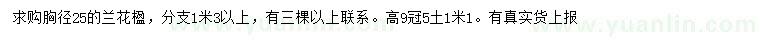 求購胸徑25公分蘭花楹