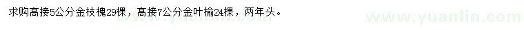 求購高接5公分金枝槐、7公分金葉榆