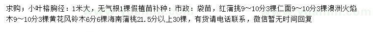 求購小葉榕、紅蒲桃、仁面等