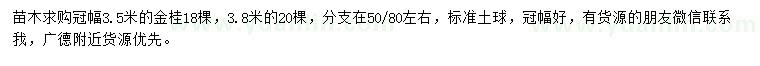 求購冠幅3.5米金桂