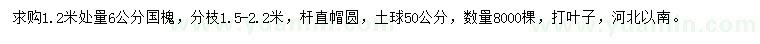 求購1.2米處量6公分國槐