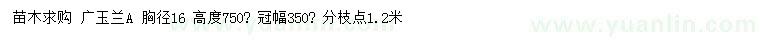 求購胸徑16公分廣玉蘭