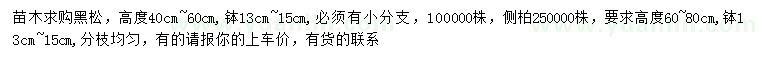 求購高度40-60公分黑松、60-80公分側(cè)柏