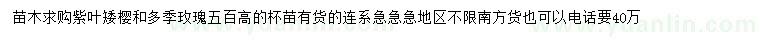 求購(gòu)紫葉矮櫻、多季玫瑰