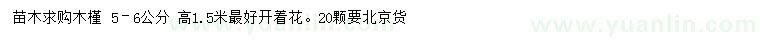 求購(gòu)5–6公分木槿