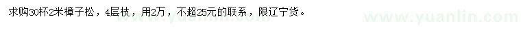 求購2米樟子松