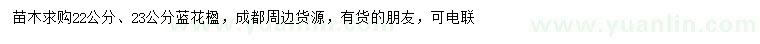 求購22、23公分藍花楹