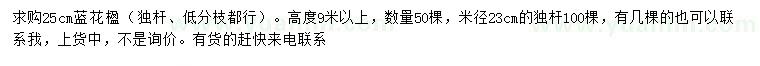 求購25公分藍(lán)花楹、23公分獨(dú)桿藍(lán)花楹