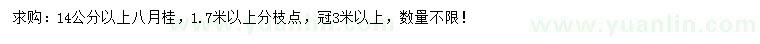 求購八月桂