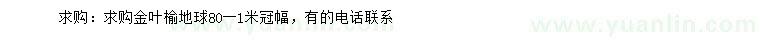 求購冠幅80-100公分金葉榆