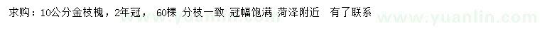 求購(gòu)10公分金枝槐