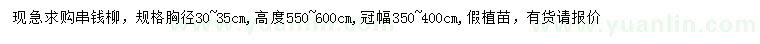 求購(gòu)胸徑30-35公分串錢(qián)柳