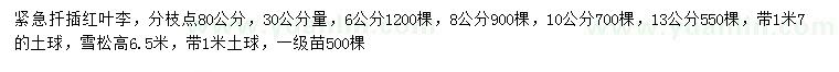 求購(gòu)30公分量6、8、10、13公分扦插紅葉李