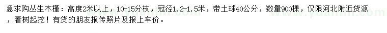 求購(gòu)高度2米以上叢生木槿