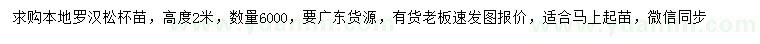 求購(gòu)高度2米本地羅漢松