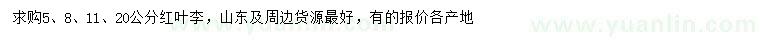 求購5、8、11、20公分紅葉李