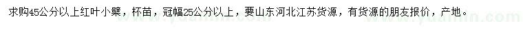 求購45公分以上紅葉小檗