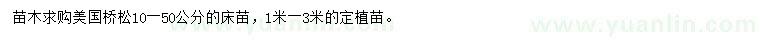 求購10-50公分美國橋松