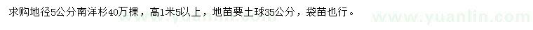求購地徑5公分南洋杉