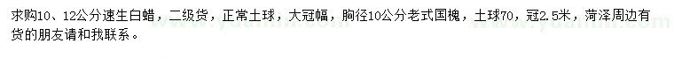求購10、12公分速生白蠟、胸徑10公分老式國槐