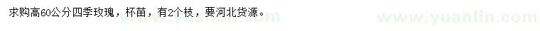 求購高60公分四季玫瑰
