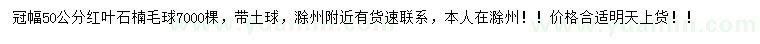 求購冠幅50公分紅葉石楠球