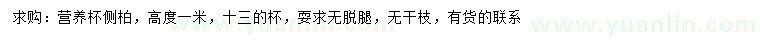 求購高1米側(cè)柏
