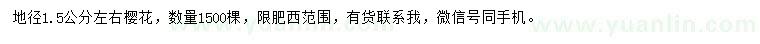 求購地徑1.5公分左右櫻花