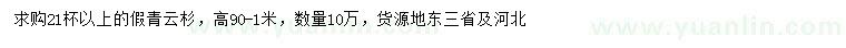 求購高90-100公分假青云杉