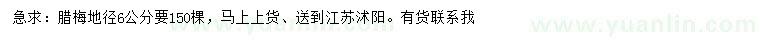 求購(gòu)地徑6公分臘梅