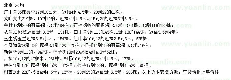 求購廣玉蘭、大葉女貞、金桂等