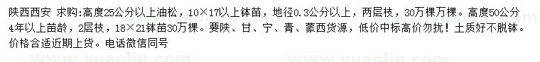 求購地徑0.3公分以上油松