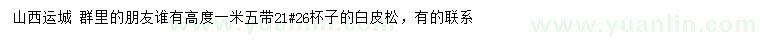 求購(gòu)高度1.5米白皮松