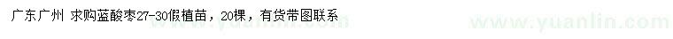 求購(gòu)27-30公分藍(lán)酸棗假植苗