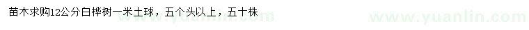 求購12公分白樺樹