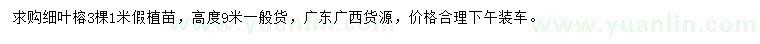 求購1米細(xì)葉榕