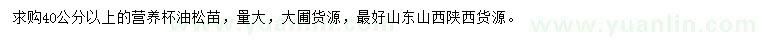 求購(gòu)40公分以上油松苗