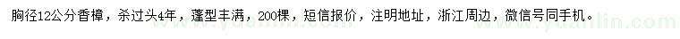 求購胸徑12公分香樟