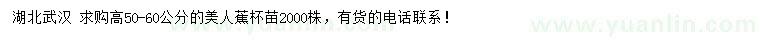 求購高50-60公分美人蕉
