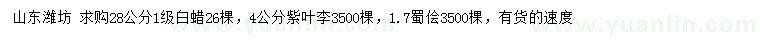 求購白蠟、紫葉李、蜀檜