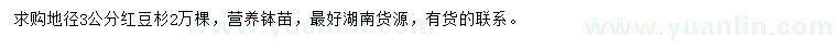 求購(gòu)地徑3公分紅豆杉