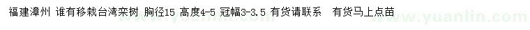 求購胸徑15公分移栽臺(tái)灣欒樹